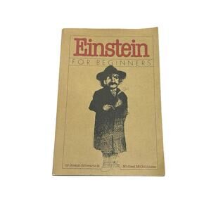 Einstein for Beginners Joseph Schwartz Michael McGuinness 1979 Vintage Paperback
